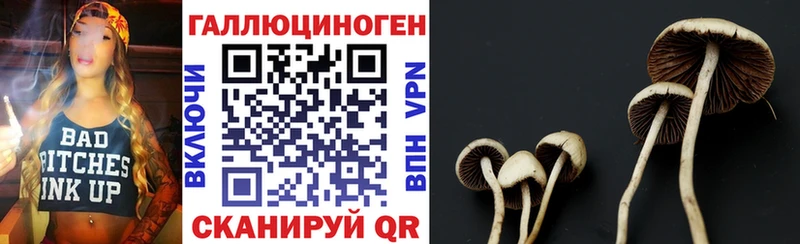 Псилоцибиновые грибы Magic Shrooms  как найти   Абаза 